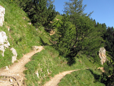 Le sentier de mont