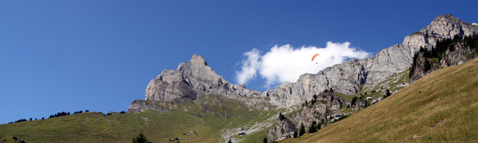 L'aiguille (grise) de Varan et la pointe de Barmerousse