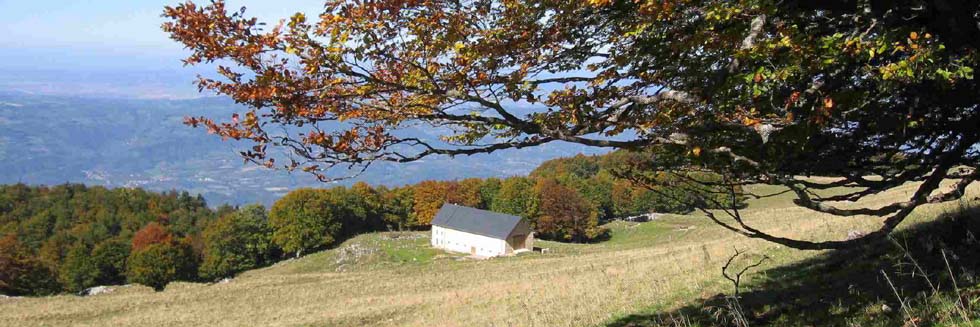 automne  Fessole