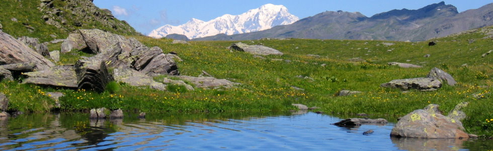 Pierre Blanche et le Mont Blanc